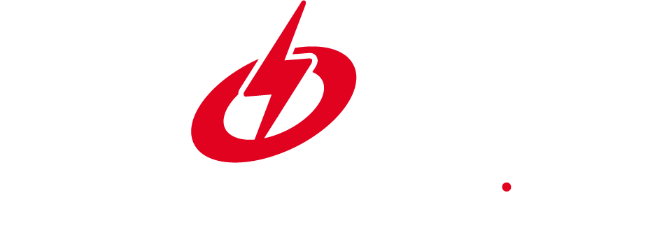 Prones Enerji Logo